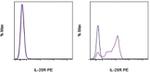 IL-25R (IL-17RB) Antibody in Flow Cytometry (Flow)