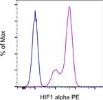 HIF-1 alpha Antibody in Flow Cytometry (Flow)