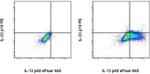 IL-23 p19 Antibody in Flow Cytometry (Flow)