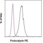 Podocalyxin Antibody in Flow Cytometry (Flow)