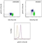 Phospho-STAT1 (Tyr701) Antibody in Flow Cytometry (Flow)