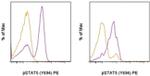 Phospho-STAT5 (Tyr694) Antibody in Flow Cytometry (Flow)