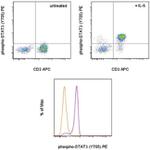 Phospho-STAT3 (Tyr705) Antibody in Flow Cytometry (Flow)