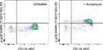 Phospho-p38 MAPK (Thr180, Tyr182) Antibody in Flow Cytometry (Flow)