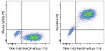 NLGN4X (Neuroligin-4) Antibody in Flow Cytometry (Flow)