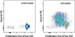 Survivin Antibody in Flow Cytometry (Flow)