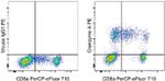 Granzyme A Antibody in Flow Cytometry (Flow)