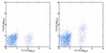 CD267 (TACI) Antibody in Flow Cytometry (Flow)