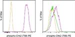 Phospho-CHK2 (Thr68) Antibody in Flow Cytometry (Flow)