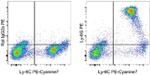 Ly-6G Antibody in Flow Cytometry (Flow)