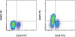 E4BP4 (NFIL3) Antibody in Flow Cytometry (Flow)