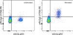 Phospho-PLCG2 (Tyr759) Antibody in Flow Cytometry (Flow)