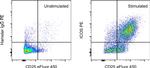 CD278 (ICOS) Antibody in Flow Cytometry (Flow)