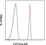 CD235a (Glycophorin A) Antibody in Flow Cytometry (Flow)