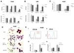 CD14 Antibody in Flow Cytometry (Flow)