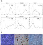 CD29 (Integrin beta 1) Antibody in Flow Cytometry (Flow)