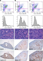 CD23 Antibody in Flow Cytometry (Flow)