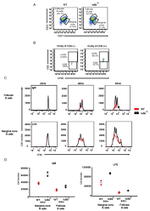 CD45R (B220) Antibody in Flow Cytometry (Flow)