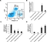 CD49f (Integrin alpha 6) Antibody in Flow Cytometry (Flow)