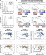 CD74 Antibody in Flow Cytometry (Flow)