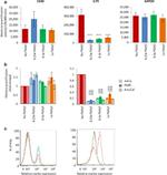 CD127 Antibody