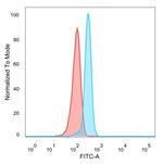 SPI-C/Transcription factor Spi-C Antibody in Flow Cytometry (Flow)