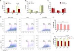 Ki-67 Antibody in Flow Cytometry (Flow)