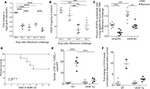 CD309 (FLK1) Antibody in Flow Cytometry (Flow)