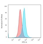 Calponin-1 (Smooth Muscle Marker) Antibody in Flow Cytometry (Flow)