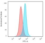 Calponin-1 (Smooth Muscle Marker) Antibody in Flow Cytometry (Flow)