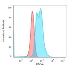 Calponin-1 (Smooth Muscle Marker) Antibody in Flow Cytometry (Flow)