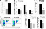 IL-17A Antibody in Flow Cytometry (Flow)