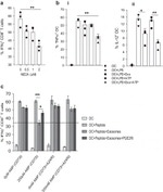 IFN gamma Antibody in Flow Cytometry (Flow)