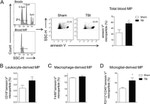 F4/80 Antibody in Flow Cytometry (Flow)