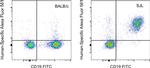 NK1.1 Antibody in Flow Cytometry (Flow)