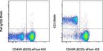 CD3 Antibody in Flow Cytometry (Flow)