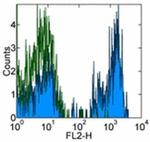 CD4 Antibody in Flow Cytometry (Flow)