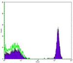 CD4 Antibody in Flow Cytometry (Flow)