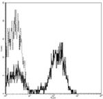 CD28 Antibody in Flow Cytometry (Flow)