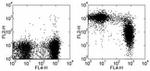 CD43 Antibody in Flow Cytometry (Flow)