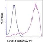 LYVE1 Antibody in Flow Cytometry (Flow)