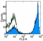 CD45R (B220) Antibody in Flow Cytometry (Flow)