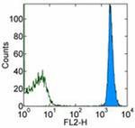 CD45.1 Antibody in Flow Cytometry (Flow)