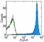 CD45RB Antibody in Flow Cytometry (Flow)