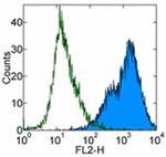 CD86 (B7-2) Antibody in Flow Cytometry (Flow)