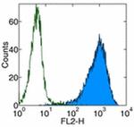 CD105 (Endoglin) Antibody in Flow Cytometry (Flow)