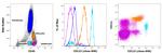 CD123 Antibody