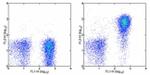 CD127 Antibody in Flow Cytometry (Flow)