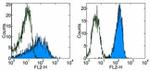 CD205 Antibody in Flow Cytometry (Flow)