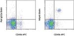 CD335 (NKp46) Antibody in Flow Cytometry (Flow)